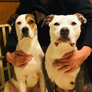 Meet your Posher, Ken